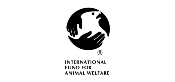 Fonds de bien-être animal Salesforce Intégration