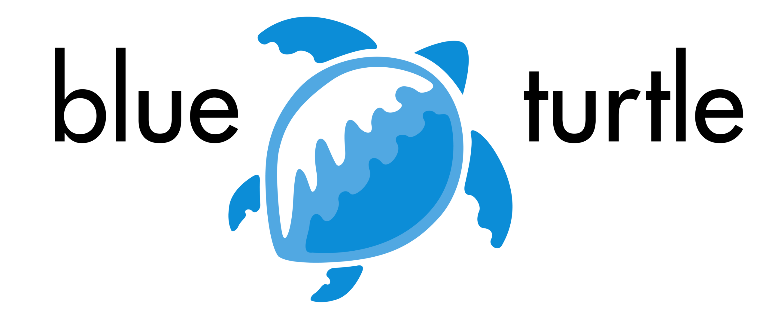 Blue Turtle Technologies logo