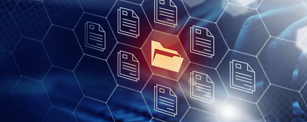 Adventure Gear Retailer Cuts Trading Partner Onboarding from 2-3 Months to 1 Day with Jitterbit