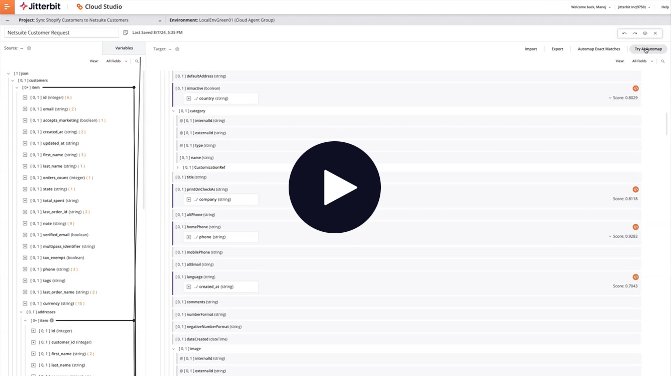Data Mapping AI Assistant screen shot