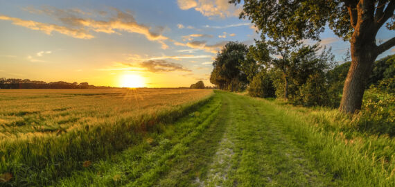 De lente hangt in de lucht en onze release is in de cloud