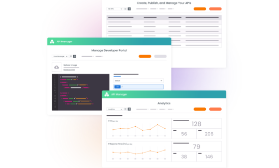 What You Get - API Manager